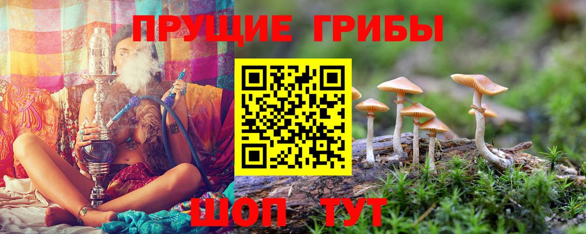 Воронеж  магазин продажи   Вход с VPN  Псилоцибиновые грибы MAGIC MUSHROOMS 